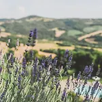 Aethos Hotel Saragano Saragano
