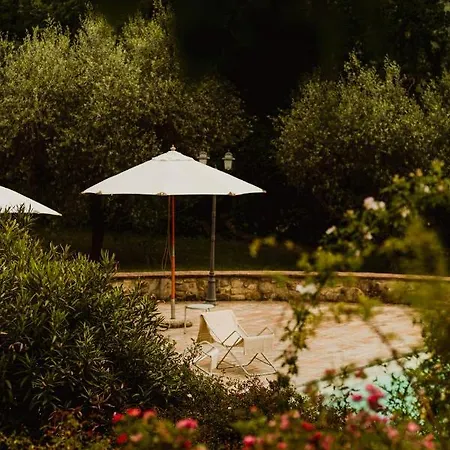 리조트 Aethos 사라가노